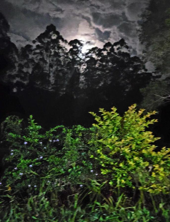 Pesqueiro E Pousada Rota Do Sol Mogi das Cruzes Exterior foto